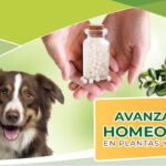cursos_homeopatia_avanzada1