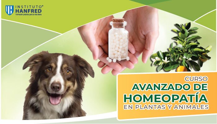 cursos_homeopatia_avanzada1